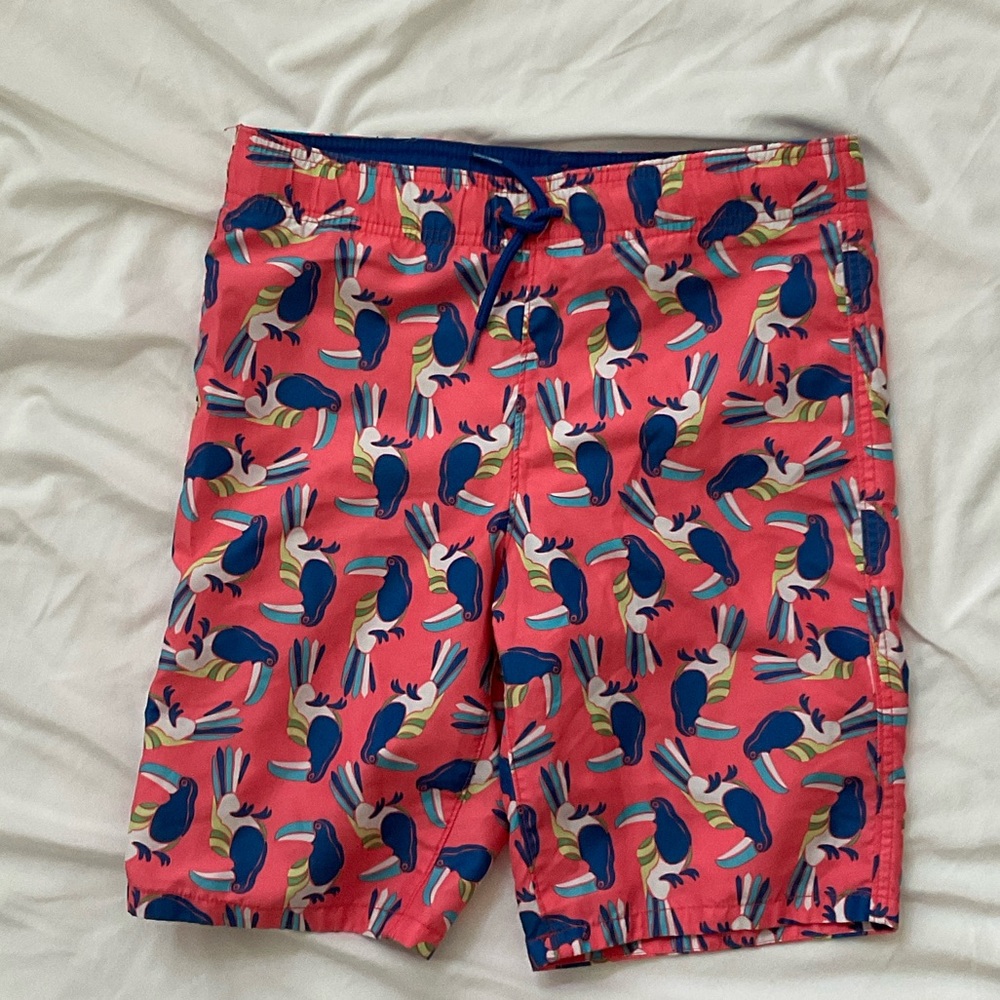Abercrombie & Fitch Blue and Pink Kids Swim Shorts